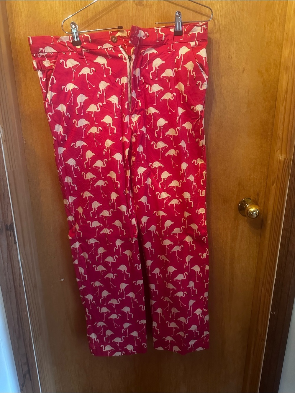Red Flamingo Print Men's Pants